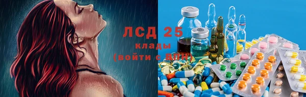 ПСИЛОЦИБИНОВЫЕ ГРИБЫ Бородино