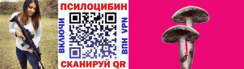 ОМГ ОМГ маркетплейс  Вяземский  Псилоцибиновые грибы мухоморы  цена  